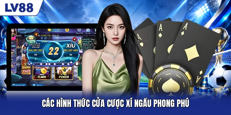 Các hình thức cửa cược xí ngầu phong phú Các hình thức cửa cược xí ngầu phong phú